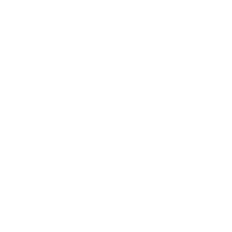 ce logo Mifflinville