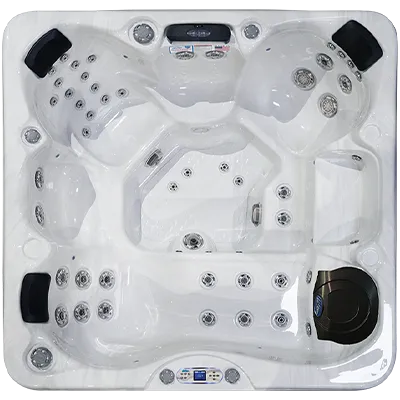 Avalon EC-849L hot tubs for sale in Mifflinville